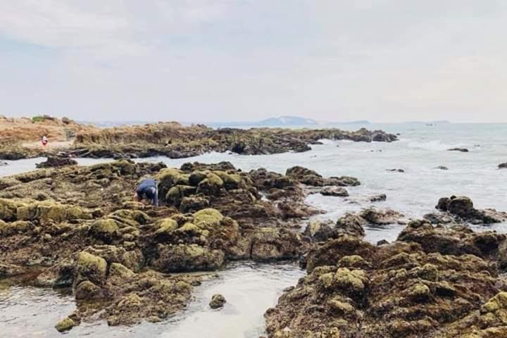 Suoi Nuoc Resort 무이네 외부 사진