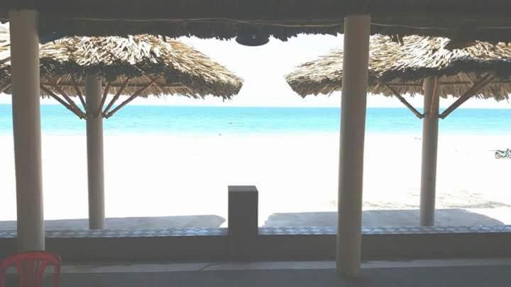 Suoi Nuoc Resort 무이네 외부 사진